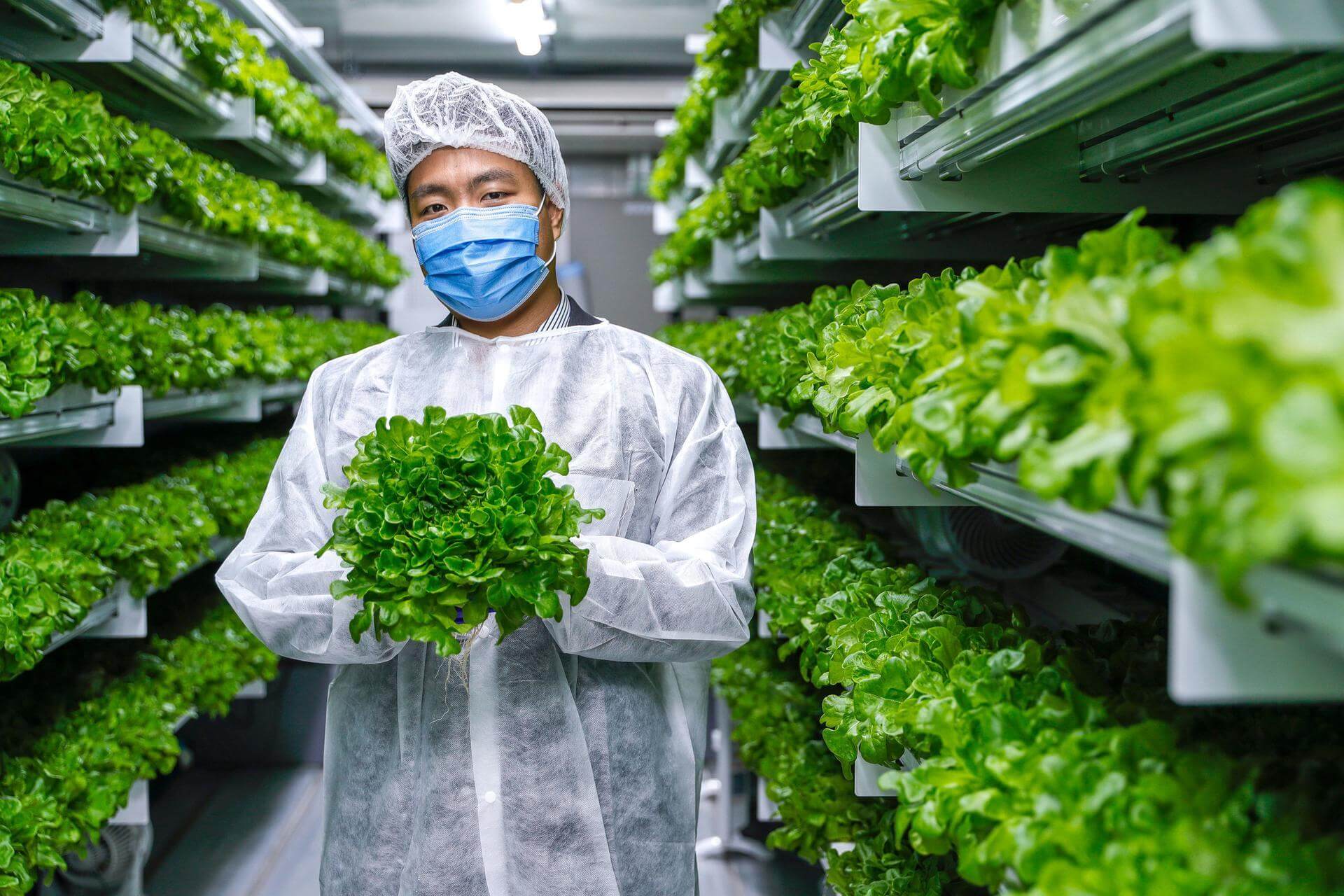 How the UAE is Shaping a Sustainable Future for Food Production